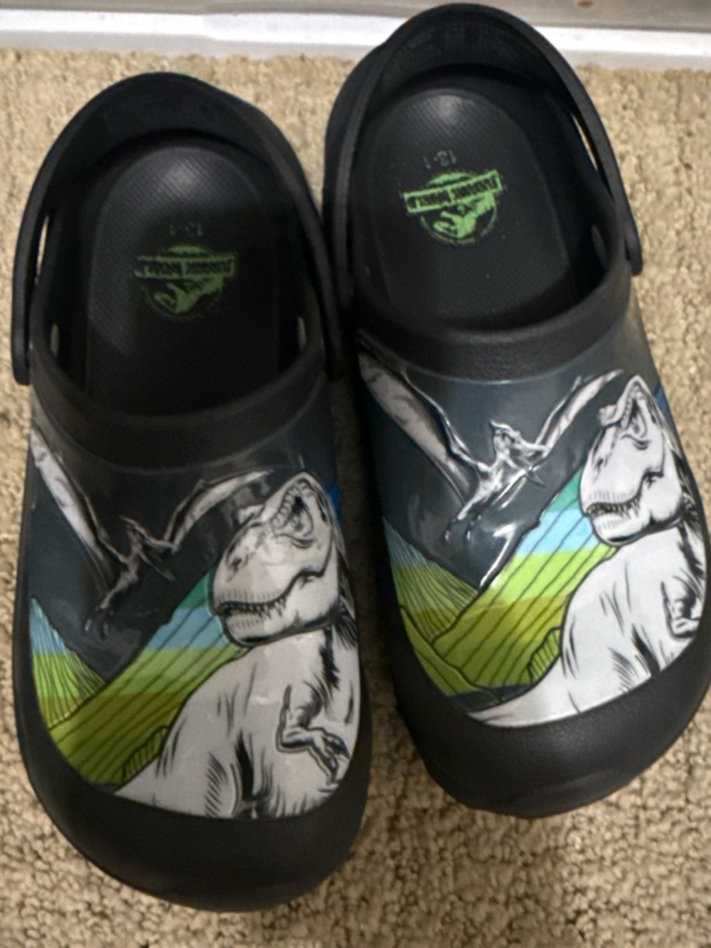 Kids Black Dinosaur Clog Shoes
